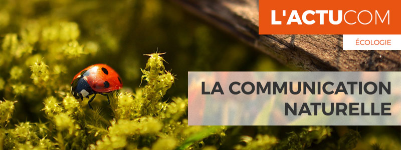 communication-naturelle-kelcom