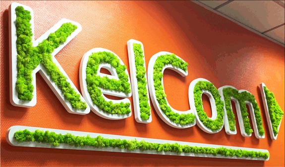 logo-vegetal