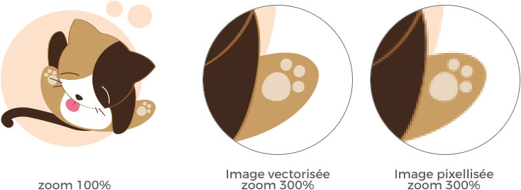 vectorisation-zoom